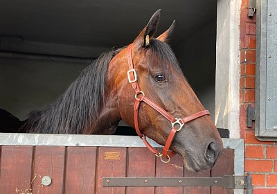 2023 06 17 Enghien M IMG 3764 Divina