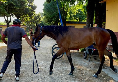 2023 06 23 Turin IMG 4032 La Formidable