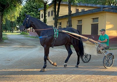 2023 06 23 Turin IMG 4077 King
