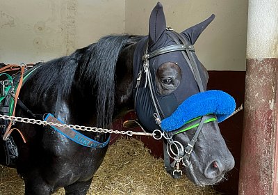 2023 07 15 Turin IMG 5017 King