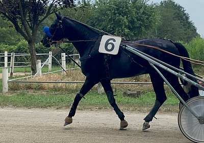 2023 07 15 Turin IMG 5037 King