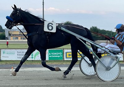 2023 07 15 Turin IMG 5196 King