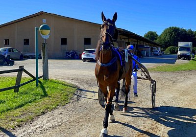 2023 09 01 Avenches IMG 7842 Ina