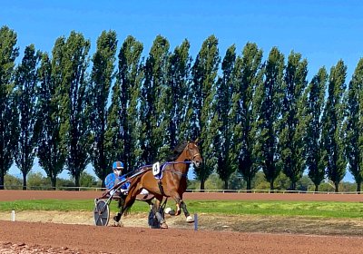 2023 09 01 Avenches IMG 7853 Ina