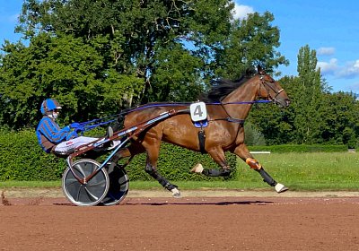 2023 09 01 Avenches IMG 7856 Ina