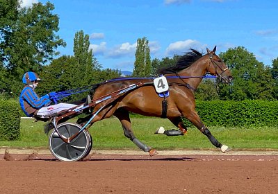 2023 09 01 Avenches IMG 7857 Ina