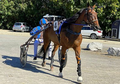 2023 09 01 Avenches IMG 7859 Ina