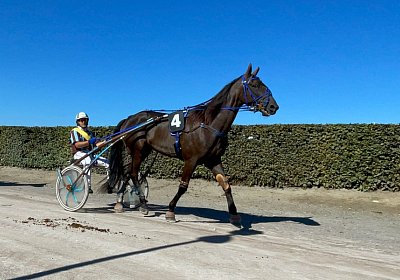 2023 09 01 Avenches IMG 7872 Jack