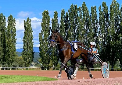 2023 09 01 Avenches L IMG 7889 Midnight