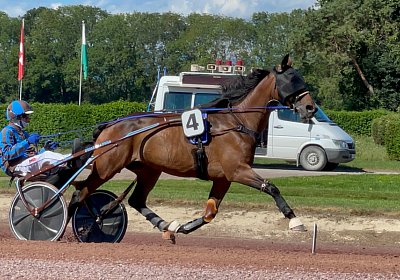 2023 09 01 Avenches L IMG 7913 Ina