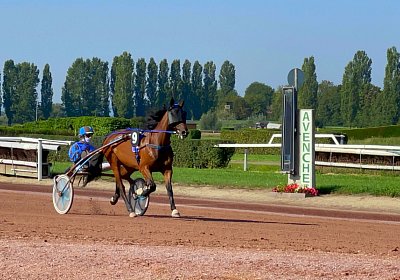 2023 09 10 Maggiore Avenches IMG 8547 Noon