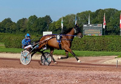2023 09 10 Maggiore Avenches IMG 8552 Noon