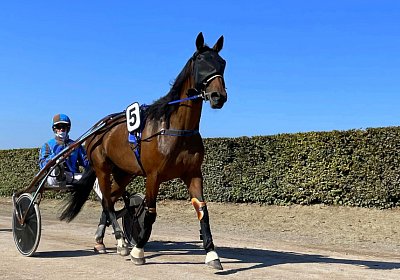 2023 09 10 Maggiore Avenches L IMG 8576 Ina