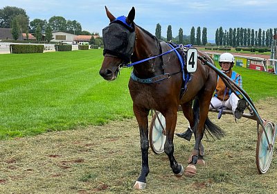 2023 09 16 Avenches IMG 9116 Noon