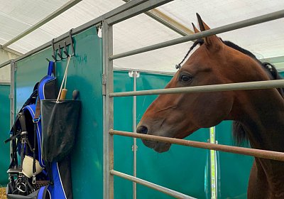 2023 09 17 Aarau IMG 9215 Alcide