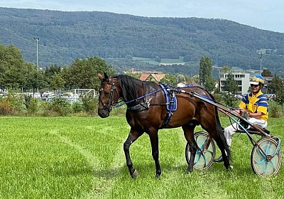 2023 09 17 Aarau IMG 9226 Alcide