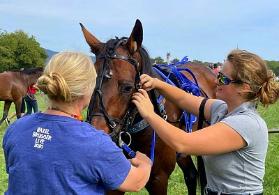 2023 09 17 Aarau IMG 9230 Alcide