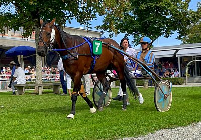 2023 09 17 Aarau IMG 9259 Alcide