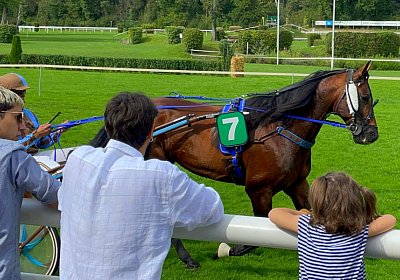 2023 09 17 Aarau IMG 9270 Alcide