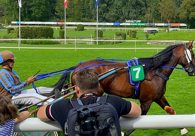 2023 09 17 Aarau IMG 9273 Alcide