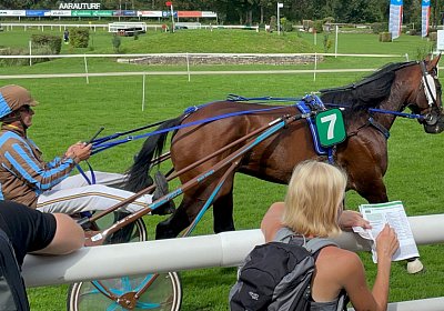 2023 09 17 Aarau IMG 9275 Alcide