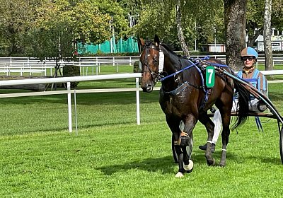 2023 09 17 Aarau IMG 9283 Alcide