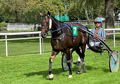 2023 09 17 Aarau IMG 9284 Alcide