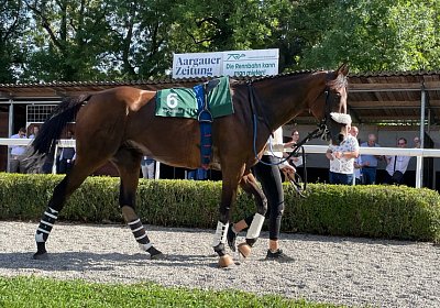 2023 09 17 Aarau IMG 9366 Fandango