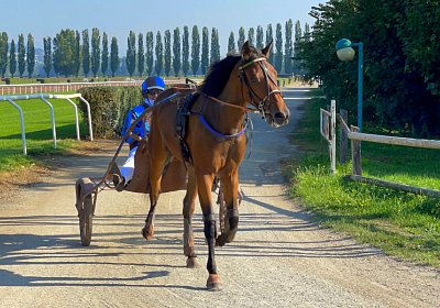 2023 09 10 Av IMG 8528 La Formidable