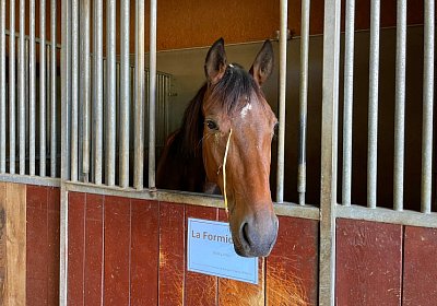 2023 09 22 IMG 9827 La Formidable