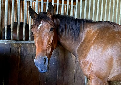 2023 09 22 M IMG 9984 La Formidable