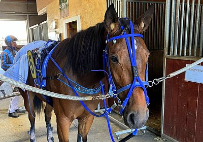 2023 09 29 Av H ok La Formidable 2
