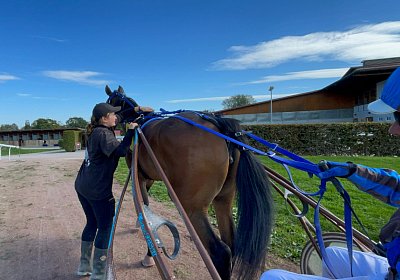 2023 09 29 Av L IMG 0407 La Formidable