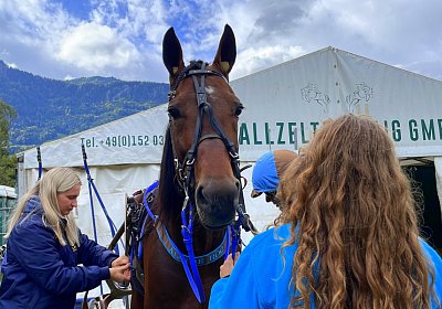 2023 10 15 Maienfeld IMG 1543 Alcide