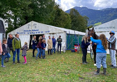 2023 10 15 Maienfeld IMG 1551 Alcide