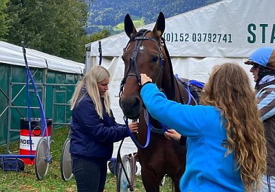 2023 10 15 Maienfeld IMG 1552 Alcide