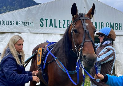 2023 10 15 Maienfeld IMG 1553 Alcide