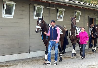 2023 10 22 Dielsdorf IMG 1955 Fandango