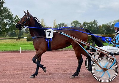 2023 10 27 IMG 2158 Divina