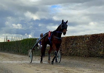 2023 11 21 Avenches IMG 0285 Noon
