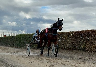 2023 11 21 Avenches IMG 0286 Noon
