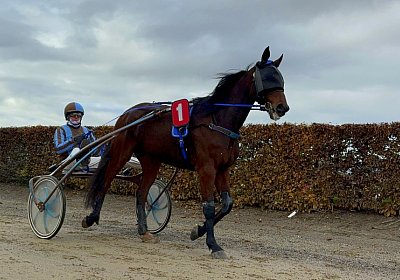 2023 11 21 Avenches IMG 0289 Noon