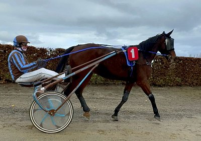 2023 11 21 Avenches IMG 0295 Noon