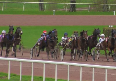 2023 11 21 Avenches S7960008 Noon
