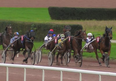 2023 11 21 Avenches S7960009 Noon