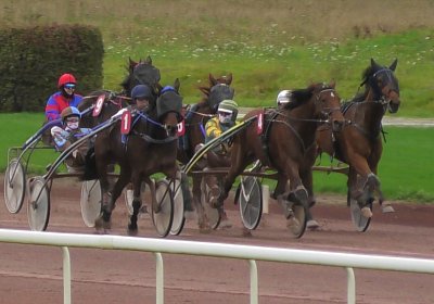 2023 11 21 Avenches S7960010 Noon