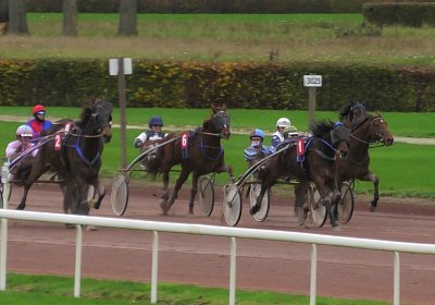 2023 11 21 Avenches S7960011 Noon