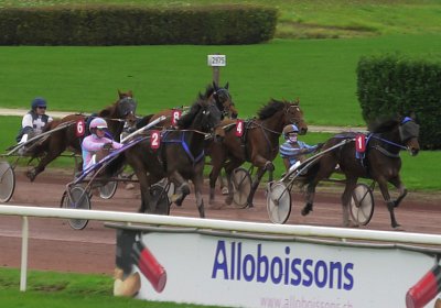 2023 11 21 Avenches S7960012 Noon