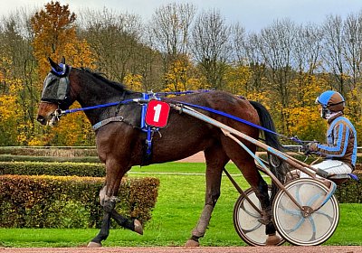 2023 11 21 Avenches T IMG 0304 Noon