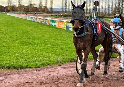 2023 11 21 Avenches T IMG 0310 Noon